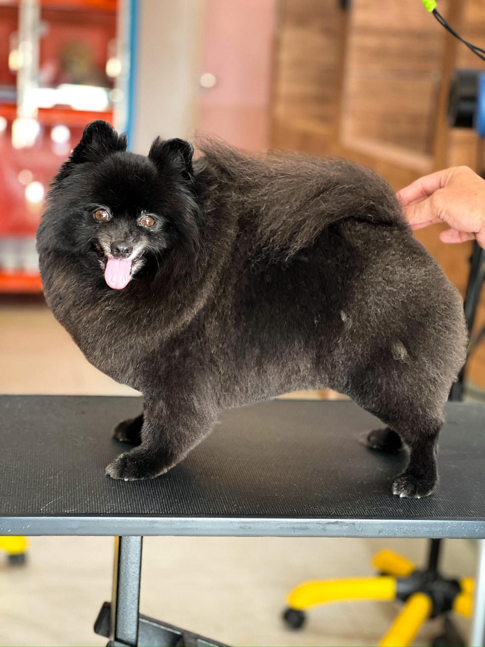 Lulu Preto depois