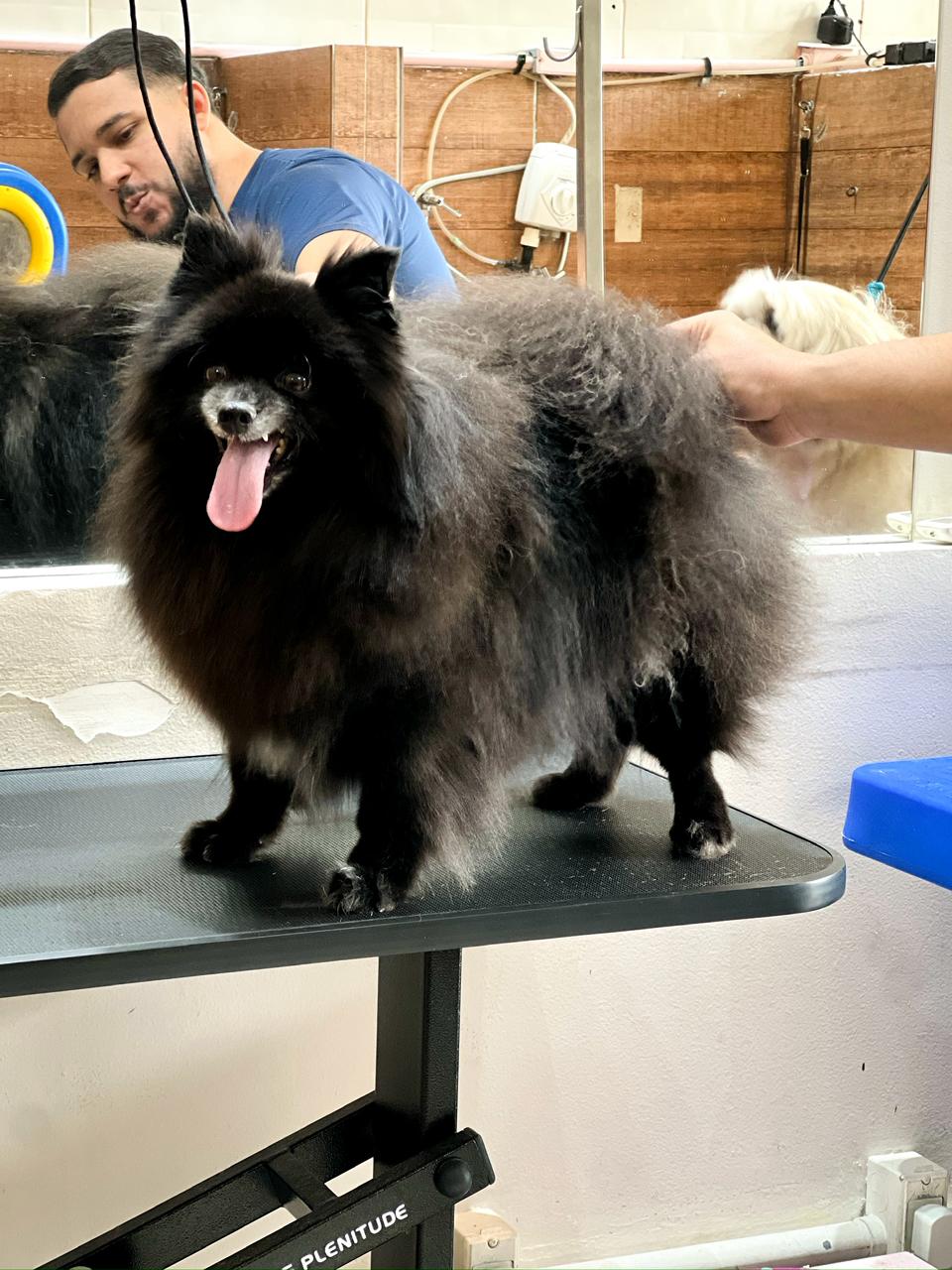 Lulu Preto antes